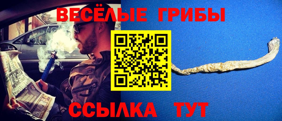 Галлюциногенные грибы GOLDEN TEACHER  Вход с VPN  Псилоцибиновые грибы прущие грибы  Омск 